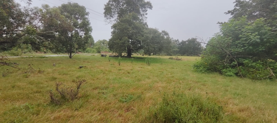 3 Bedroom Property for Sale in Greenbushes Eastern Cape